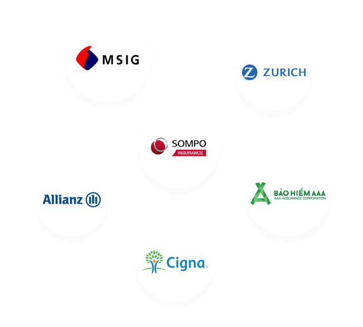 igloo consumer insurers sample visual