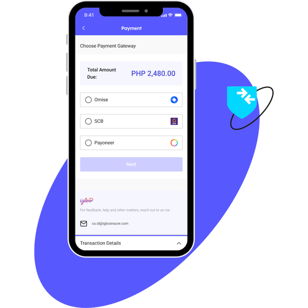 ignite secure payment processing
