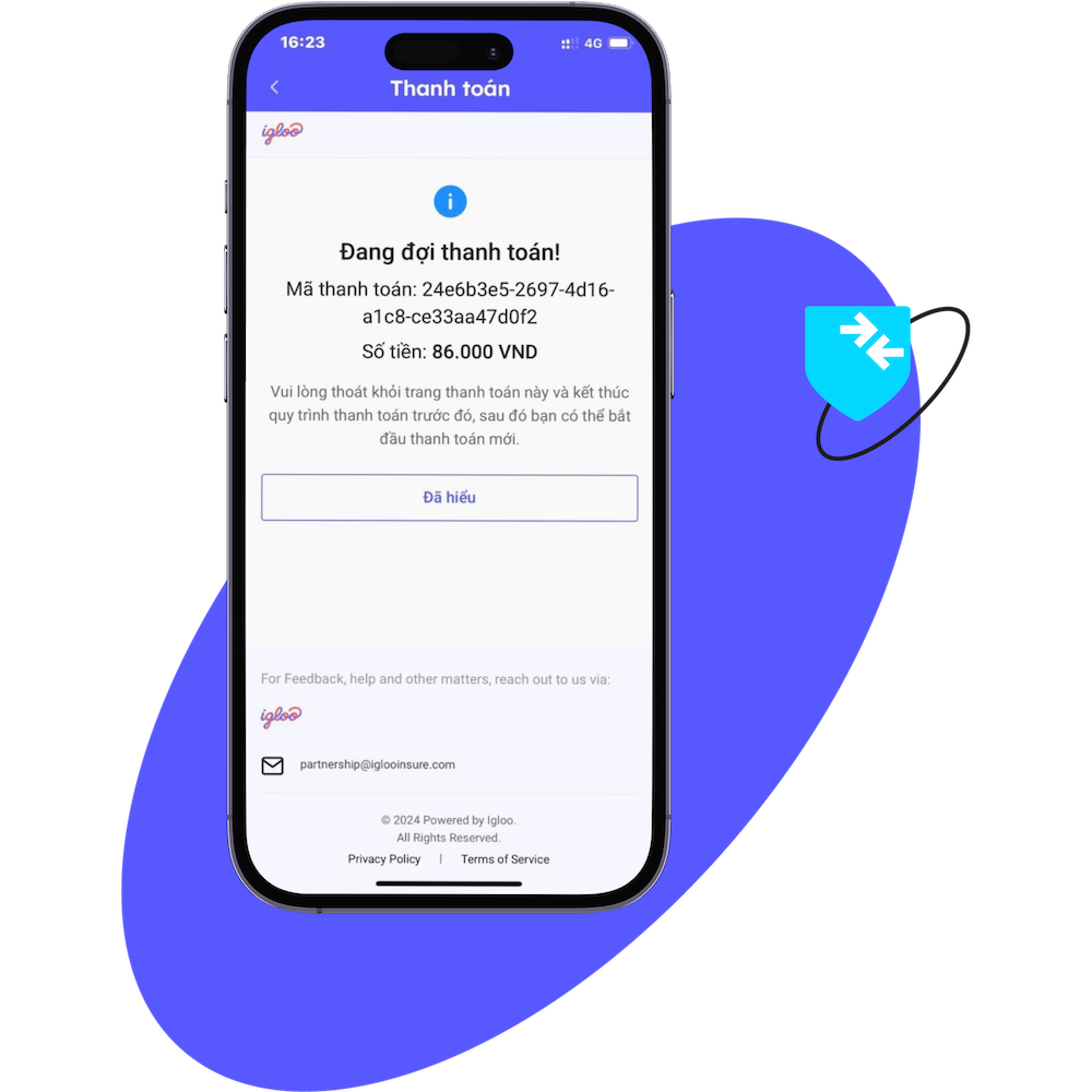 ignite secure payment processing vn
